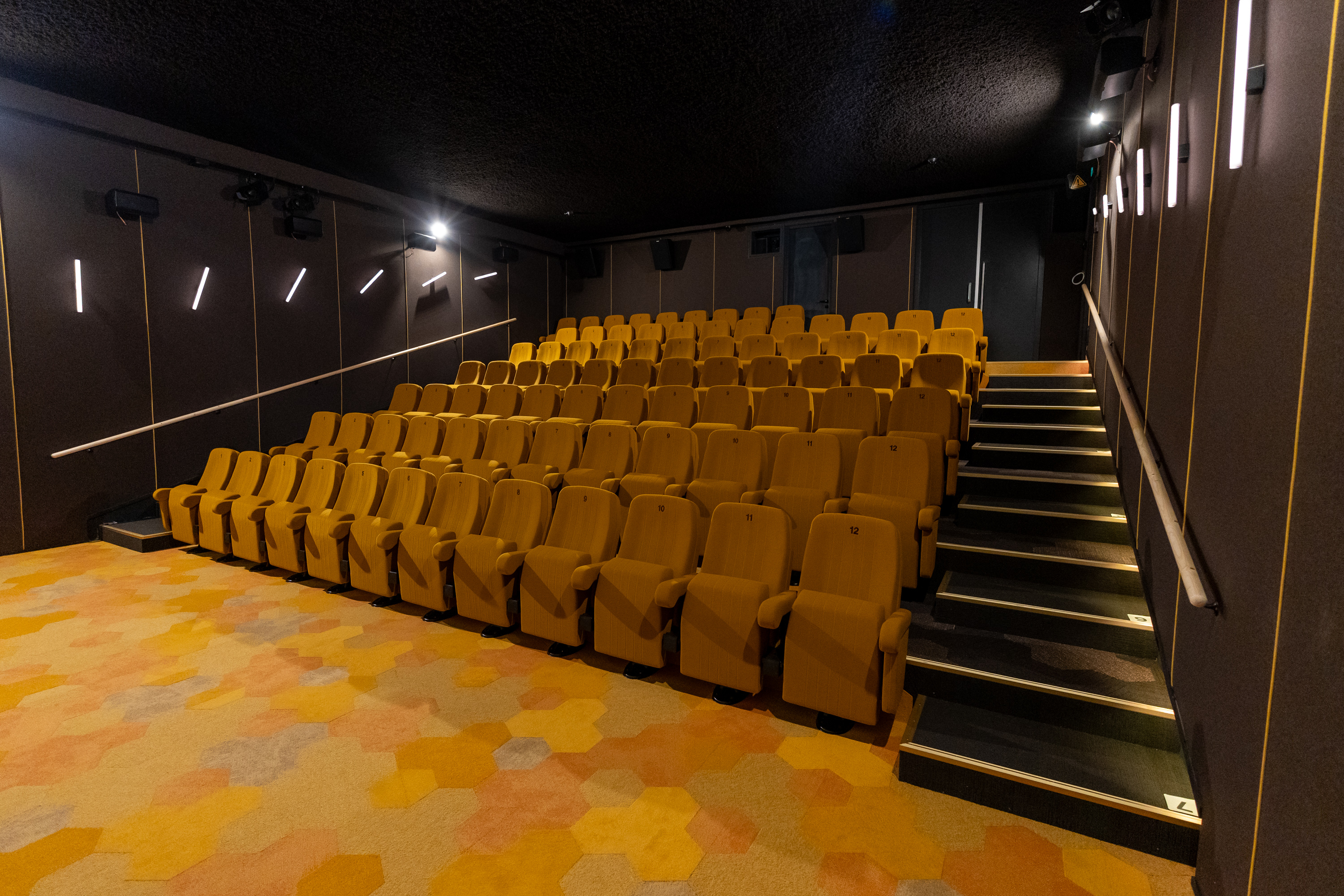 FilmTheater FilmkrantDag-001.jpg